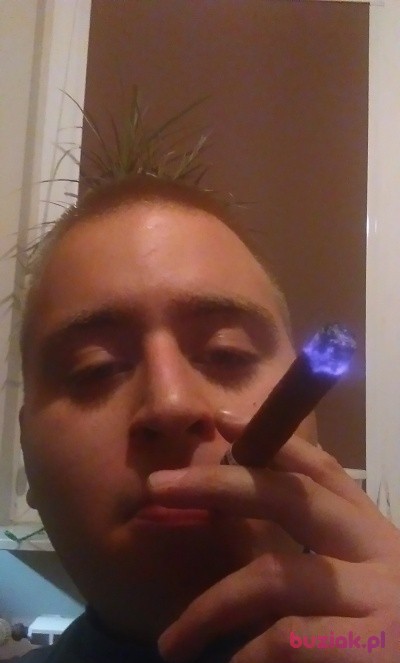 Rafał, Mężczyzna, 30, Chorzów, Polska, Zdjęcie: 1
