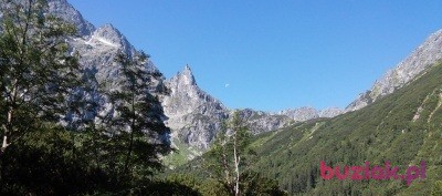 arek, Mężczyzna, 50, Polska, Zdjęcie: 4