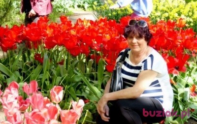 Ela, Kobieta, 66, Kępno, Polska, Zdjęcie: 1
