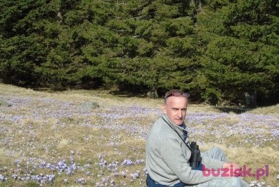 Marek, Male, 68, Wrocław, Polska: 1