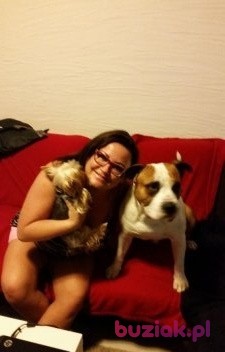 anna, Kobieta, 53, Toruń, Polska, Zdjęcie: 3