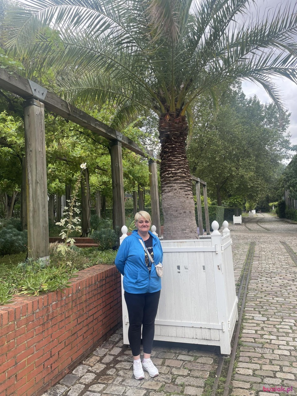 Ewa, Kobieta, 50, Katowice, Polska, Zdjęcie: 3