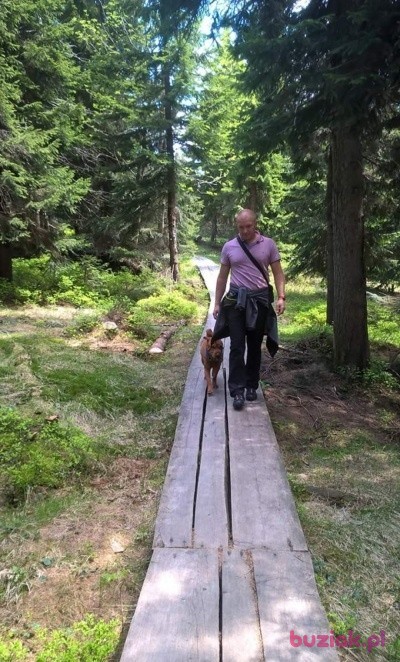 Mariusz, Mężczyzna, 43, Legnica, Polska, Zdjęcie: 1