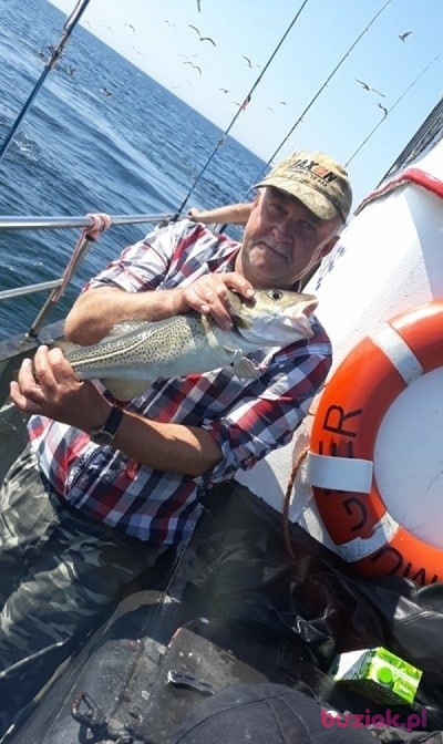 Janusz, Male, 58, Puławy, Polska, Photo: 2
