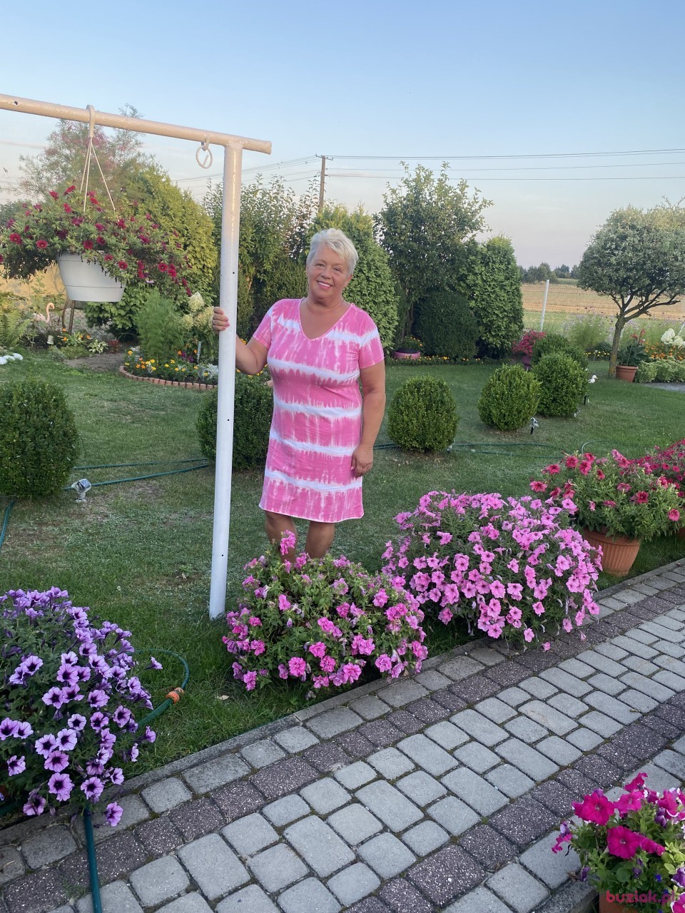 Basia, Kobieta, 62, Piotrków Trybunalski, Polska, Zdjęcie: 1