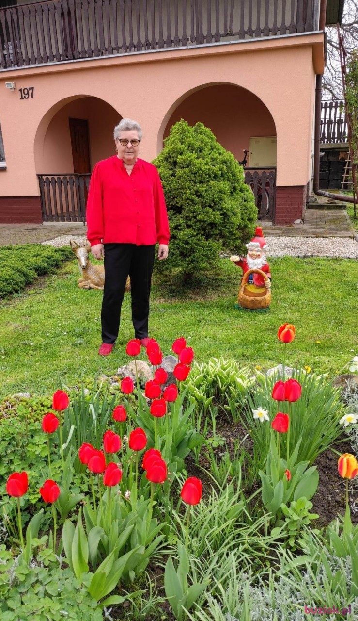 Ewa, Female, 62, Przeworsk, Polska, Photo: 10