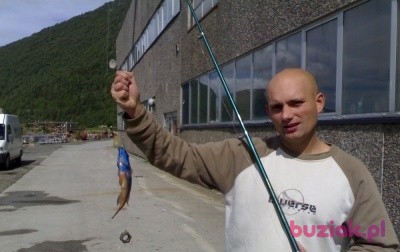 Marcin, Mężczyzna, 44, Police, Polska, Zdjęcie: 3