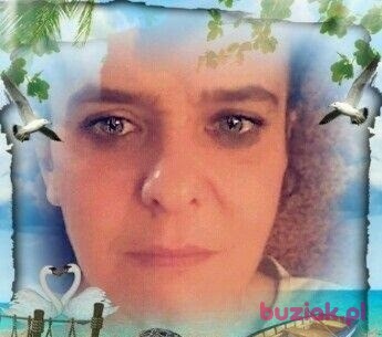 renata, Kobieta, 52, Oss North Brabant Province, Holandia, Zdjęcie: 2