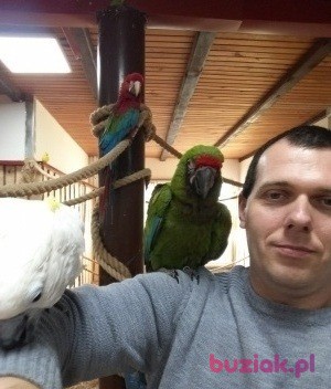 Marcin, Male, 43, Wrocław, Polska, Photo: 1