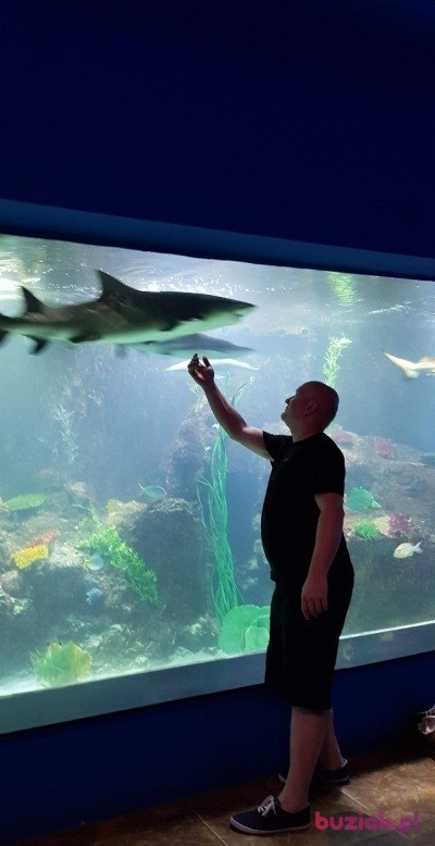 Marcin, Mężczyzna, 41, Szczecin, Polska, Zdjęcie: 9