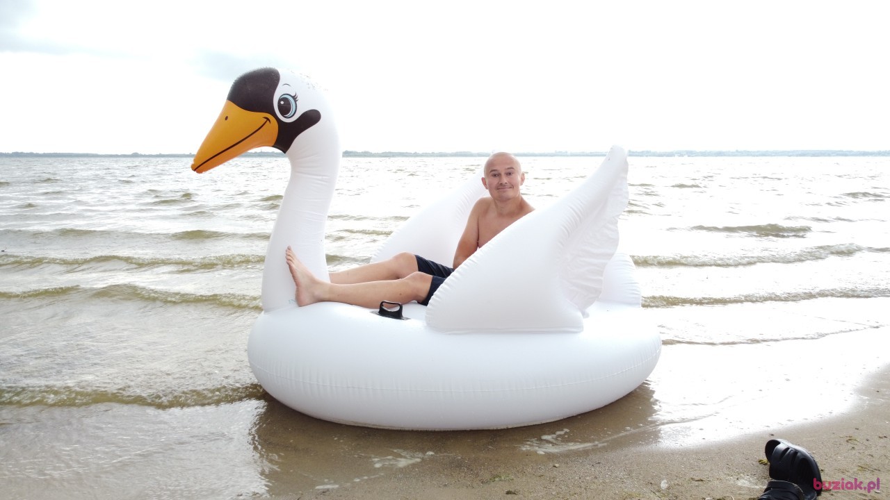 Michał, Mężczyzna, 36, Zgierz, Polska, Zdjęcie: 536