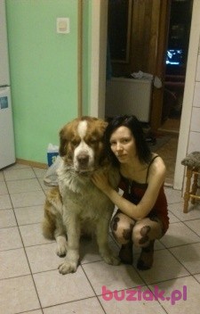 Estera, Kobieta, 31, Tarnowskie Góry, Polska, Zdjęcie: 2