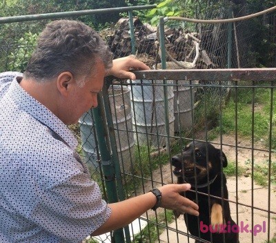 Jurek, Mężczyzna, 54, Dzierżoniów, Polska, Zdjęcie: 5