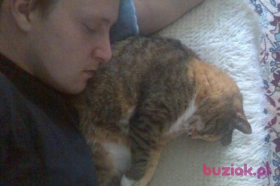 Bartes, Mężczyzna, 42, Łódź, Polska, Zdjęcie: 4