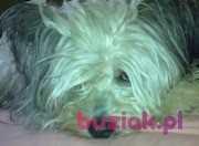 hendrix2, Male, 71, Lublin, Polska, Photo: 4