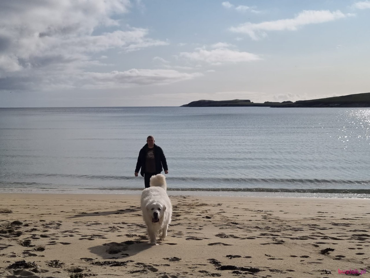 Maciek, Mężczyzna, 41, Aberdeen, Wielka Brytania: 1