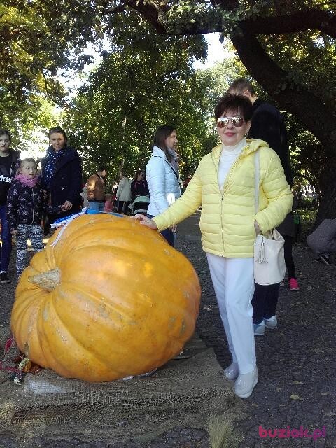 Elżbieta, Kobieta, 70, Wrocław, Polska, Zdjęcie: 3