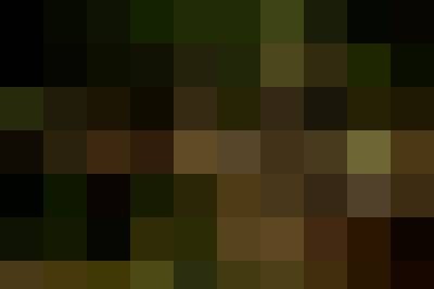 Tomek, Mężczyzna, 41, Rotterdam South Holland Province, Holandia, Zdjęcie: 4