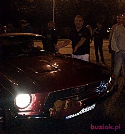 benny29, Mężczyzna, 39, Wrocław, Polska: 1