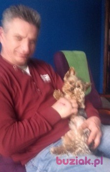 pawel, Male, 58, Katowice, Polska, Photo: 2