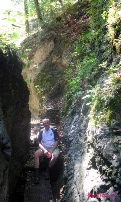 Bogdan, Male, 61, Szczecin, Polska, Photo: 7