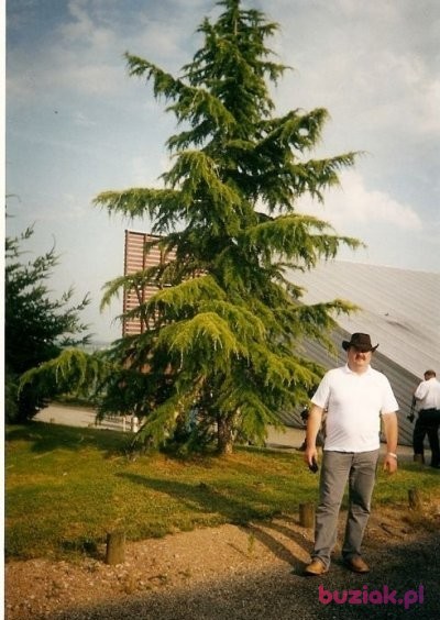 janusz, Mężczyzna, 59, Polska, Zdjęcie: 2
