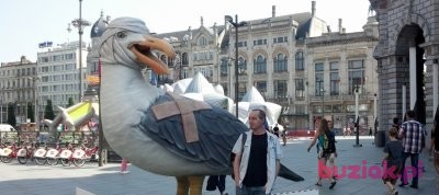 Marek, Mężczyzna, 51, Bydgoszcz, Polska, Zdjęcie: 1