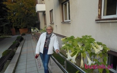 wakula, Kobieta, 71, Warszawa, Polska, Zdjęcie: 1