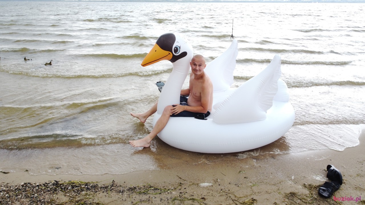 Michał, Mężczyzna, 36, Zgierz, Polska, Zdjęcie: 520