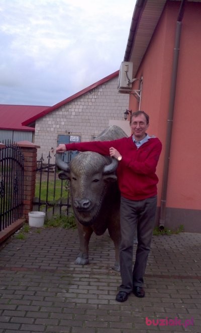 Marek, Male, 62, Będzin, Polska, Photo: 1