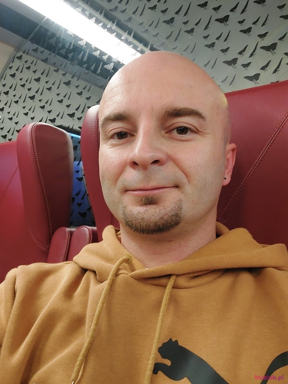 Grzegorz, Mężczyzna, 34, Eindhoven, Holandia: 1