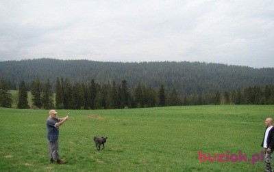 grzegorz, Mężczyzna, 49, Kwidzyn, Polska, Zdjęcie: 5