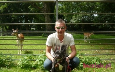 Jacek, Male, 63, Rotterdam South Holland Province, Holandia, Photo: 1