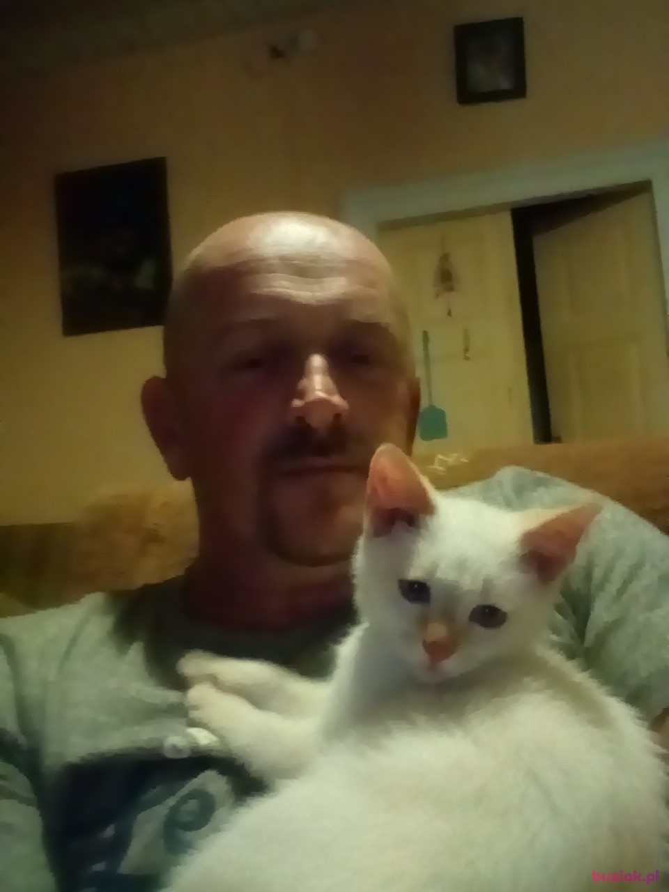 Wojtek, Mężczyzna, 49, Radzyń Podlaski, Polska, Zdjęcie: 3