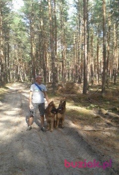 Jacek, Mężczyzna, 61, Kielce, Polska, Zdjęcie: 1