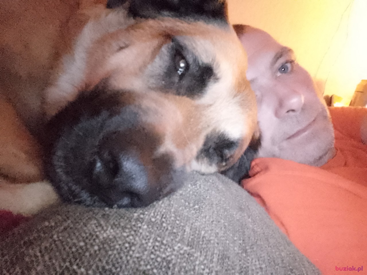 Pioter, Male, 41, Holandia: 1