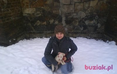 Monika, Kobieta, 36, Polska, Zdjęcie: 2