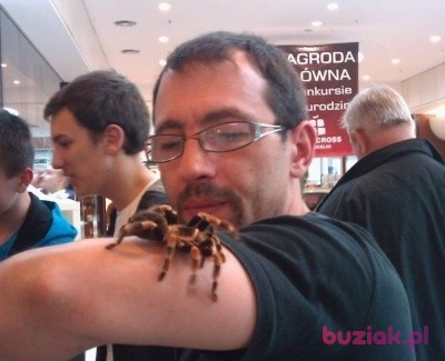 Tomasz, Mężczyzna, 48, Poznań, Polska, Zdjęcie: 2