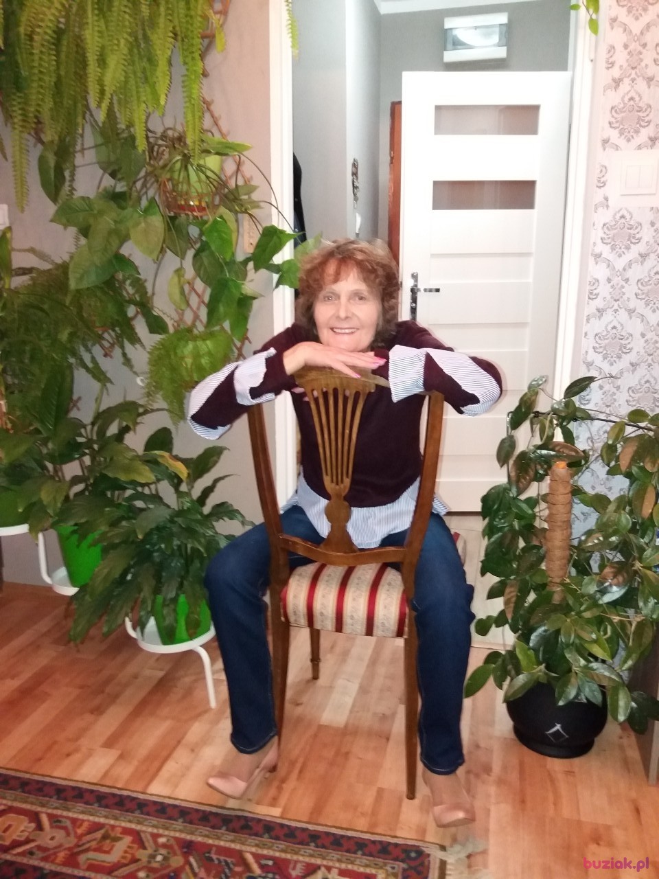 Iwona, Kobieta, 71, Warszawa, Polska: 1