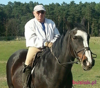 marian, Male, 73, Bydgoszcz, Polska: 1