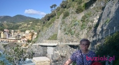 halina, Female, 62, Płock, Polska, Photo: 3
