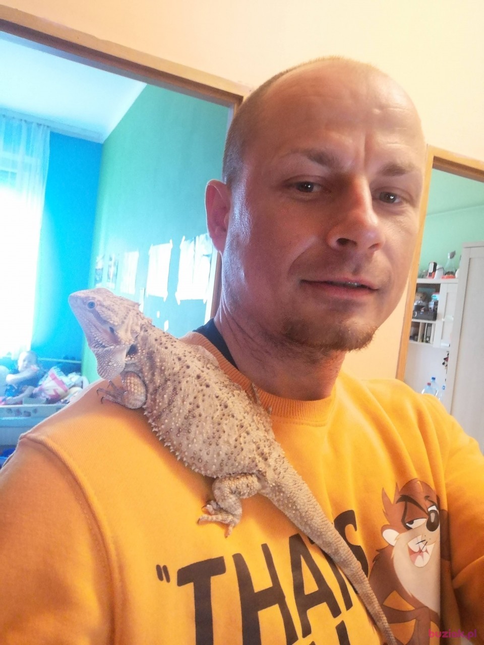 Arek, Mężczyzna, 41, Opole, Polska, Zdjęcie: 2