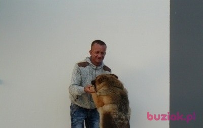 Mariusz, Male, 50, Skarżysko-Kamienna, Polska, Photo: 2