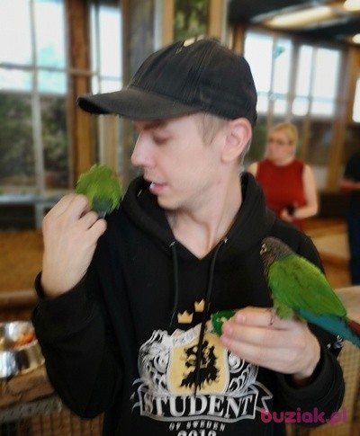 Marek, Mężczyzna, 38, Haarlem North Holland Province, Holandia, Zdjęcie: 1