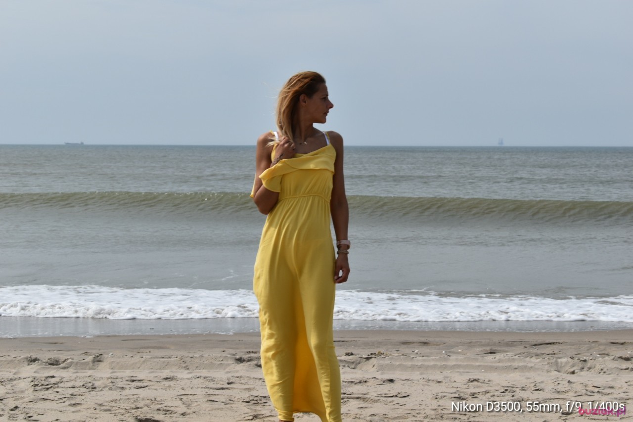 Sylwia, Kobieta, 48, Haga, Holandia: 1