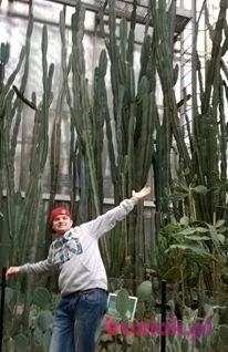 Artur, Mężczyzna, 34, Gliwice, Polska, Zdjęcie: 2