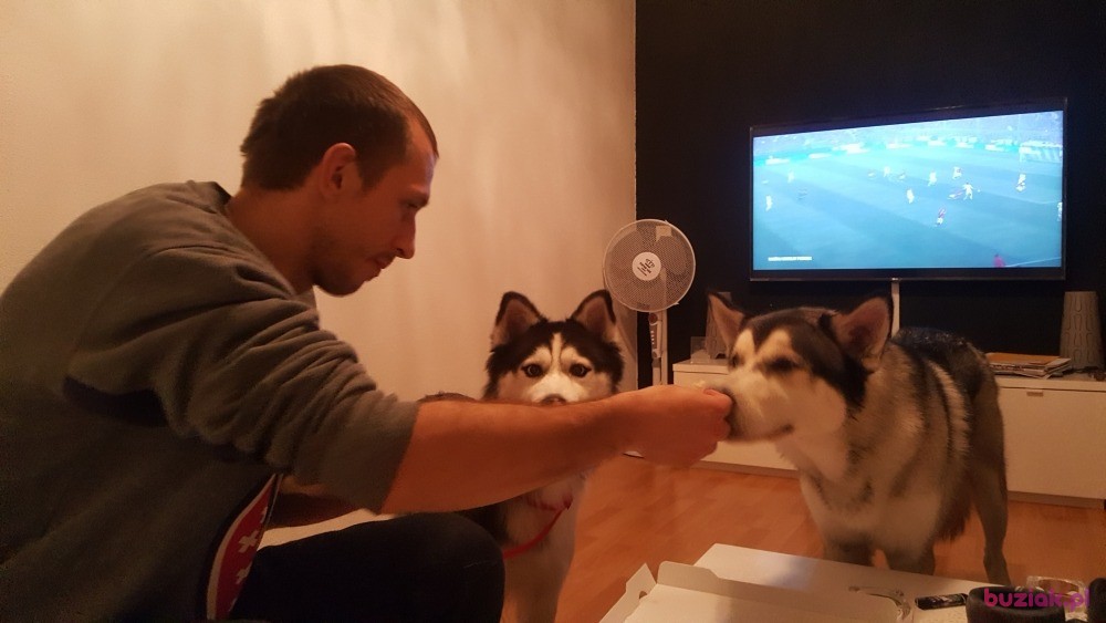 Jakub , Mężczyzna, 39, Białystok, Polska, Zdjęcie: 2