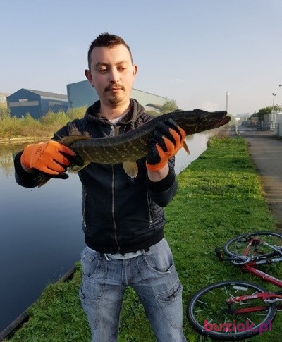 Adrian, Mężczyzna, 31, Westminster, Wielka Brytania, Zdjęcie: 3