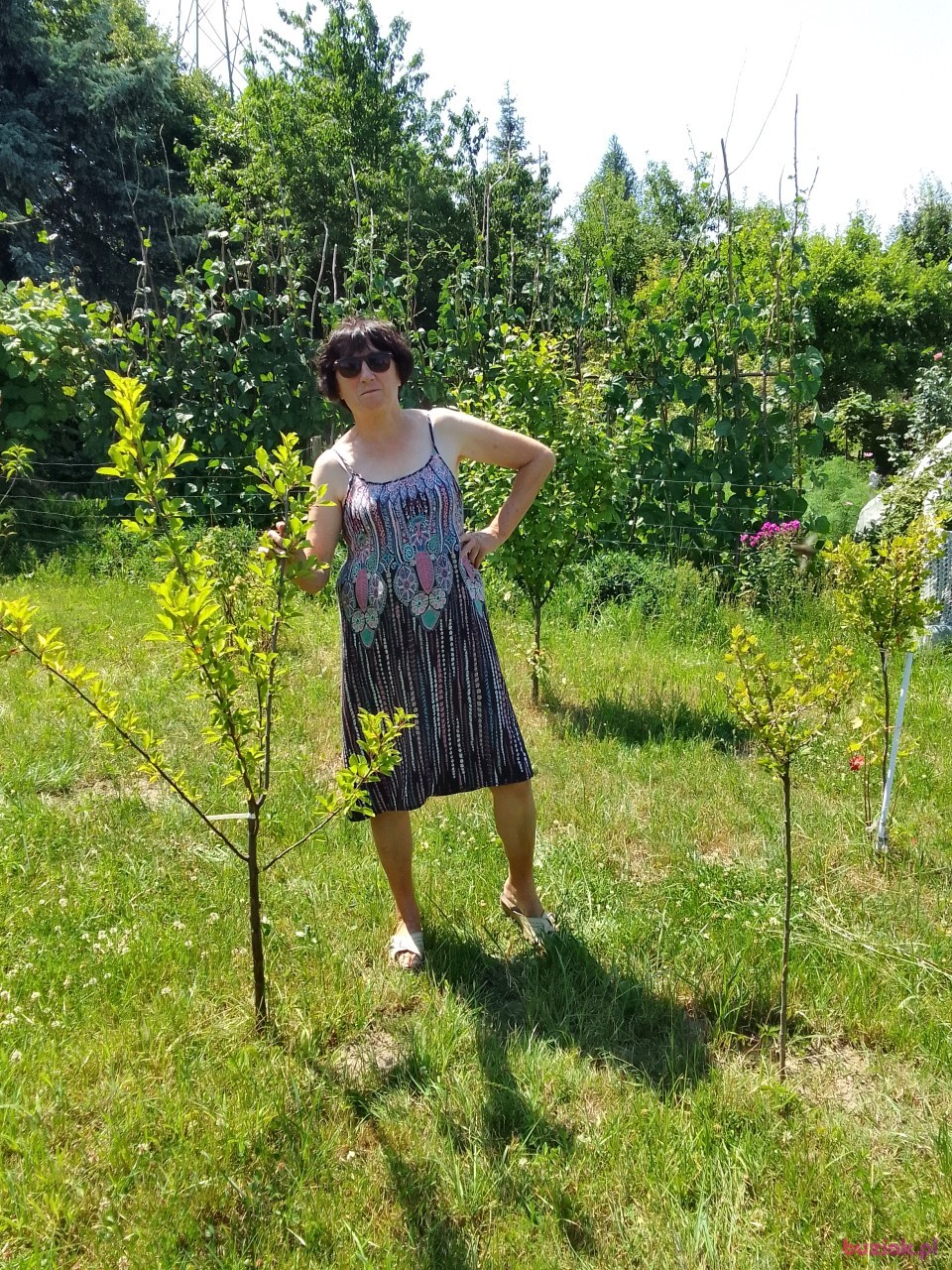 maria, Female, 66, Kłobuck, Polska, Photo: 3