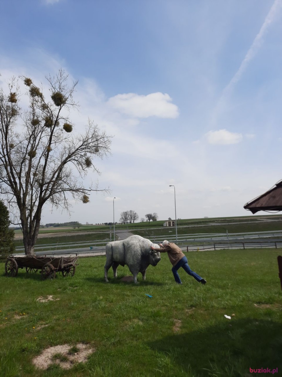 jwarenn, Male, 74, Warszawa, Polska, Photo: 10